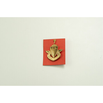 CAP BADGE PENANG